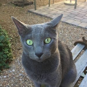 Meet your Posher, Austin